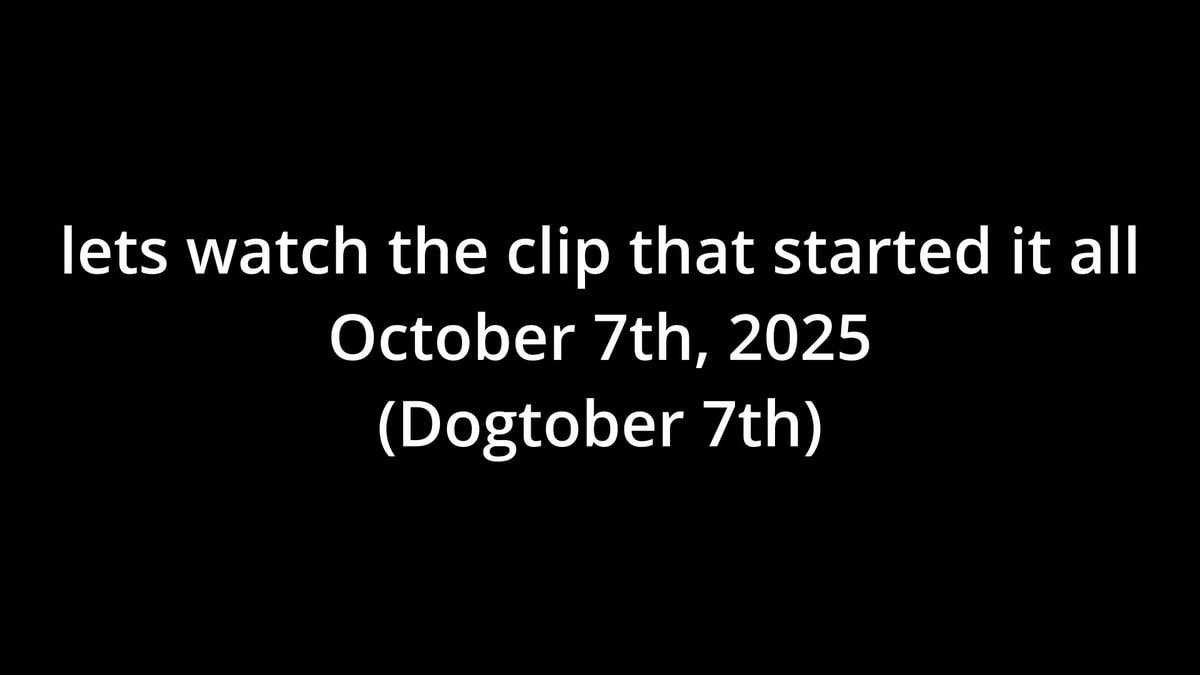 Dan Saltman ultimate dogtober 7th timeline
