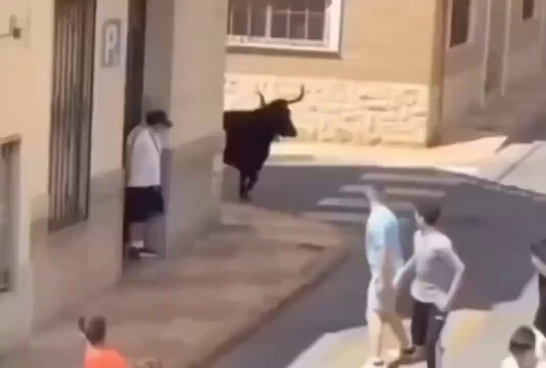 black bull charging street