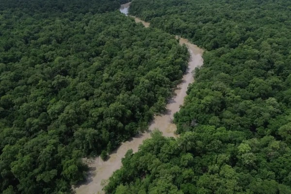 Brazil Amazon deforestation INPE (photo 2 of 2)