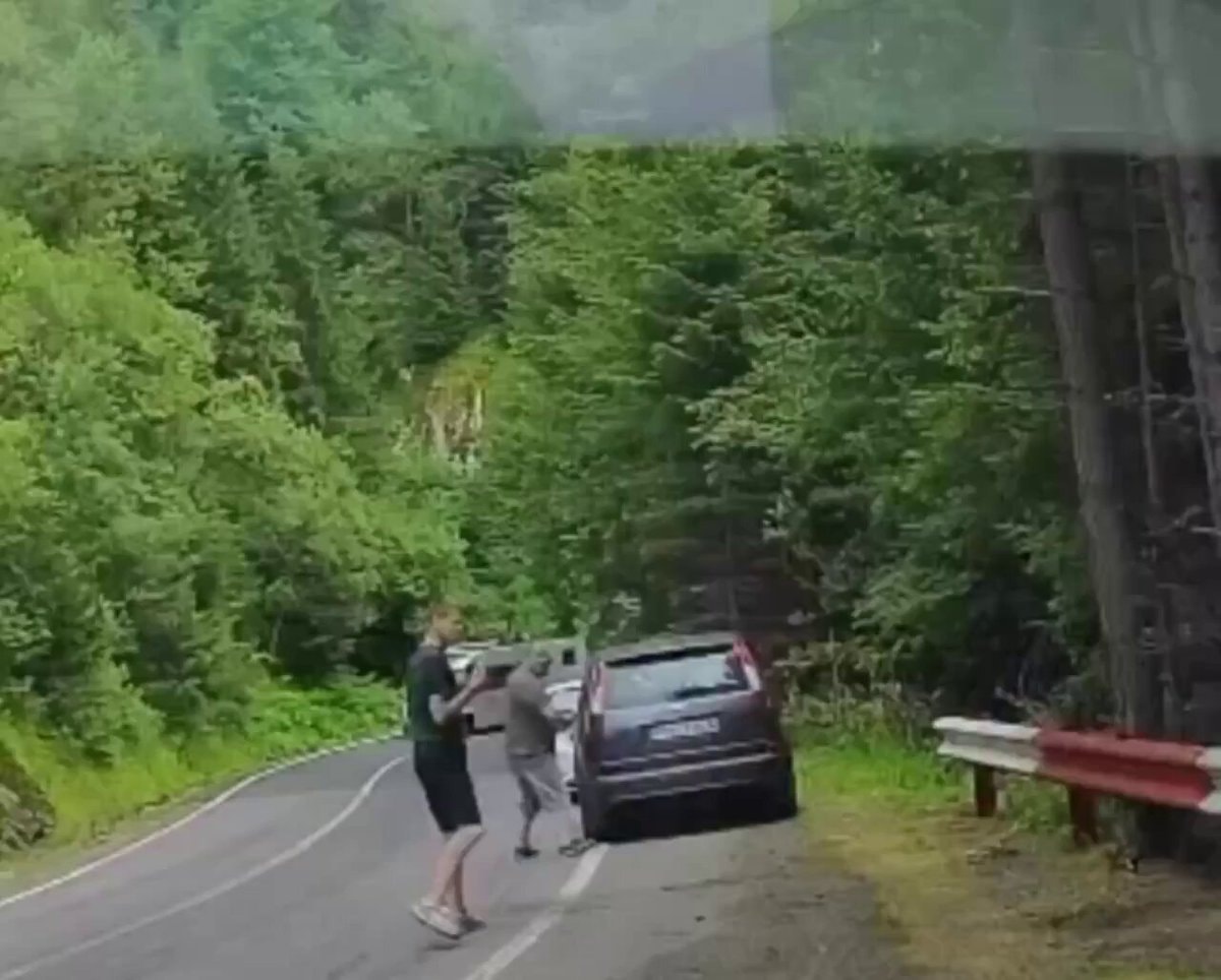 Romania tourist misses bear