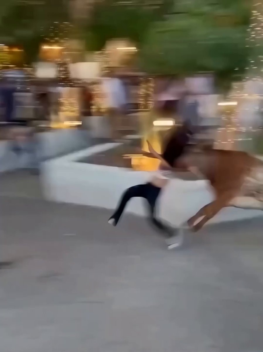 Bullfighting festival Guerrero incident