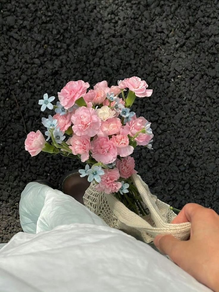 Pink carnation bouquet in sunlight (photo 2 of 2)