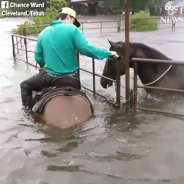 man rescues horse from flood