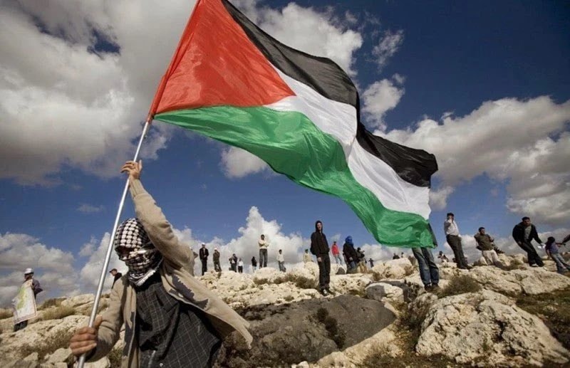 Child marriages surge in Gaza Child marriages surge in Gaza