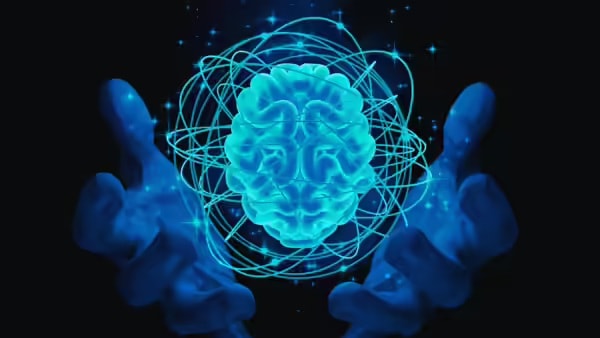 Study on brain cell growth from silence (photo 2 of 2)