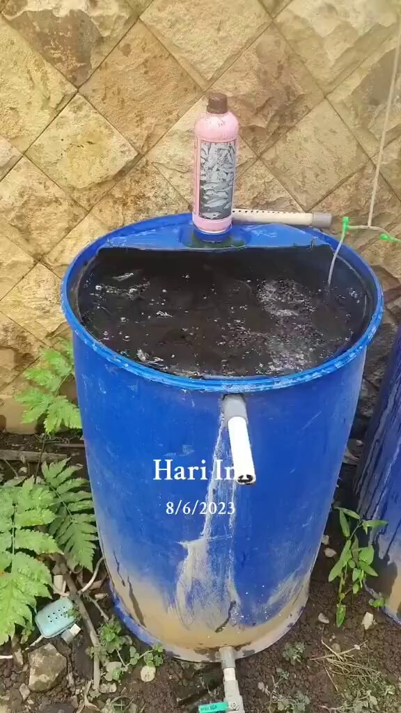 Container-based fish farming method