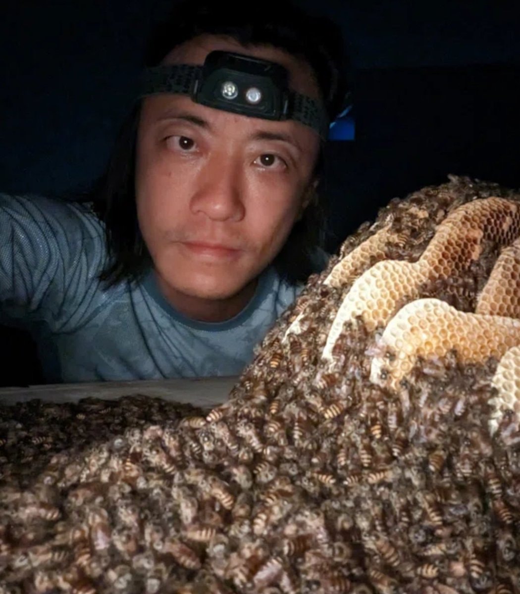 Clarence Chua bee rescuer Singapore (photo 2 of 2)