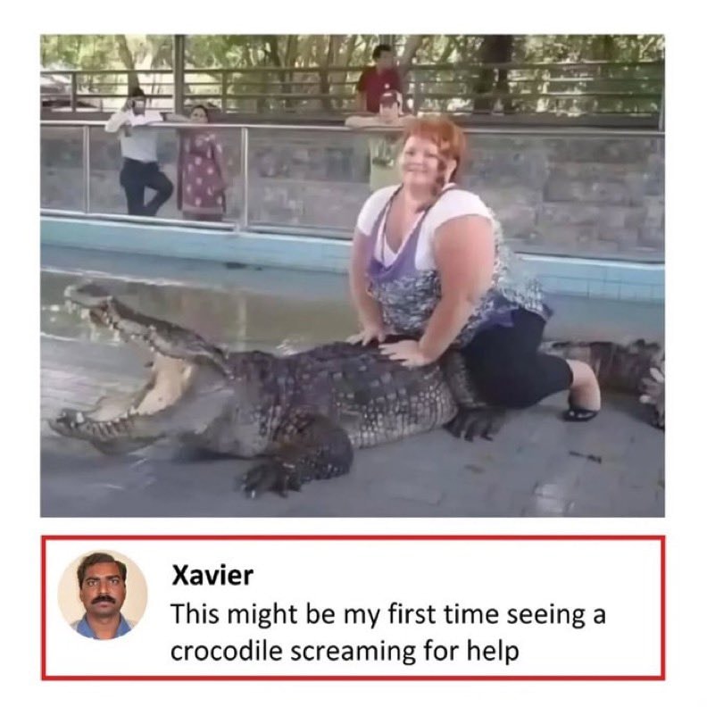 crocodile screaming for help crocodile screaming for help