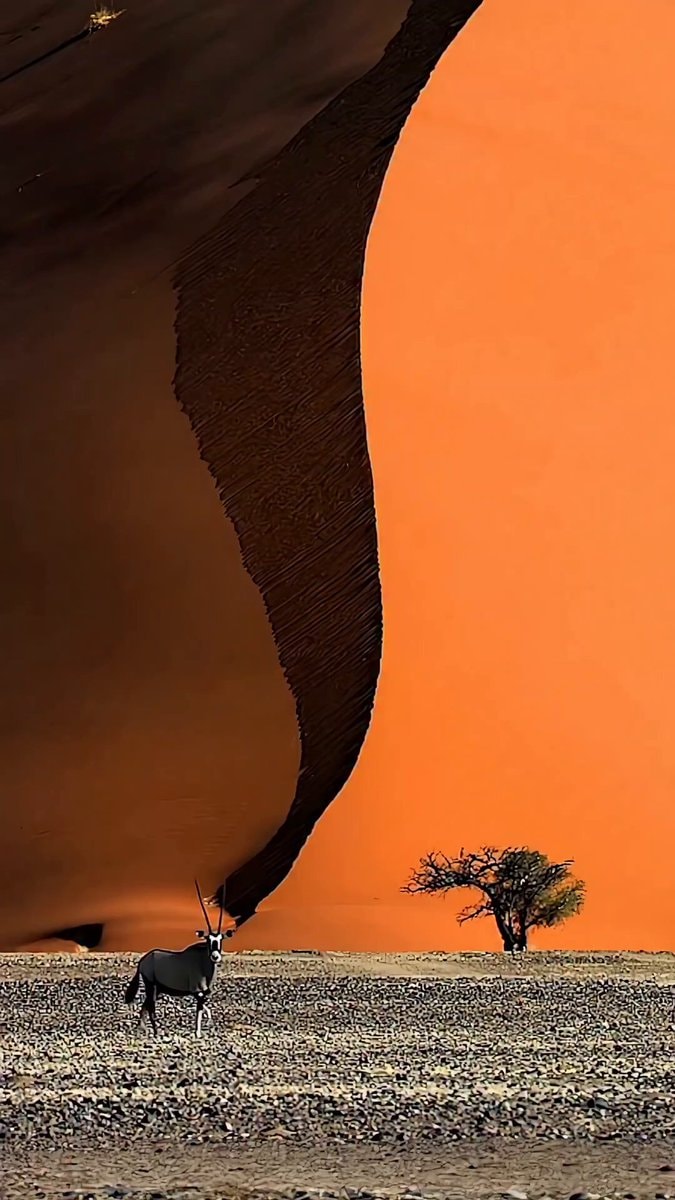 Sandwich Harbour Namibia dunes ocean