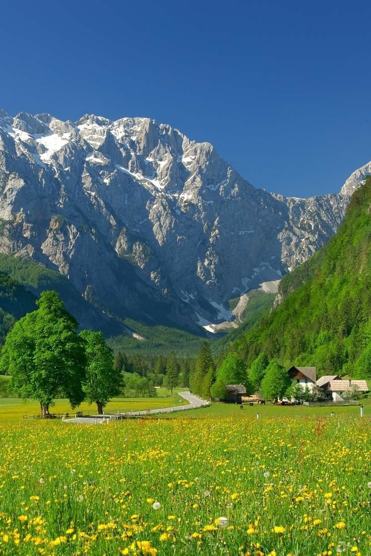 Switzerland countryside (photo 4 of 4)