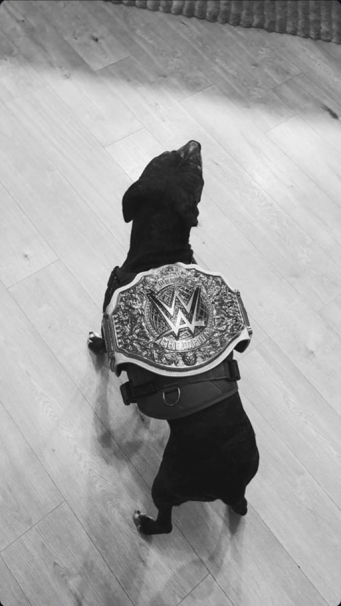 Stephanie Vaquer Myles Borne dog WWE belt
