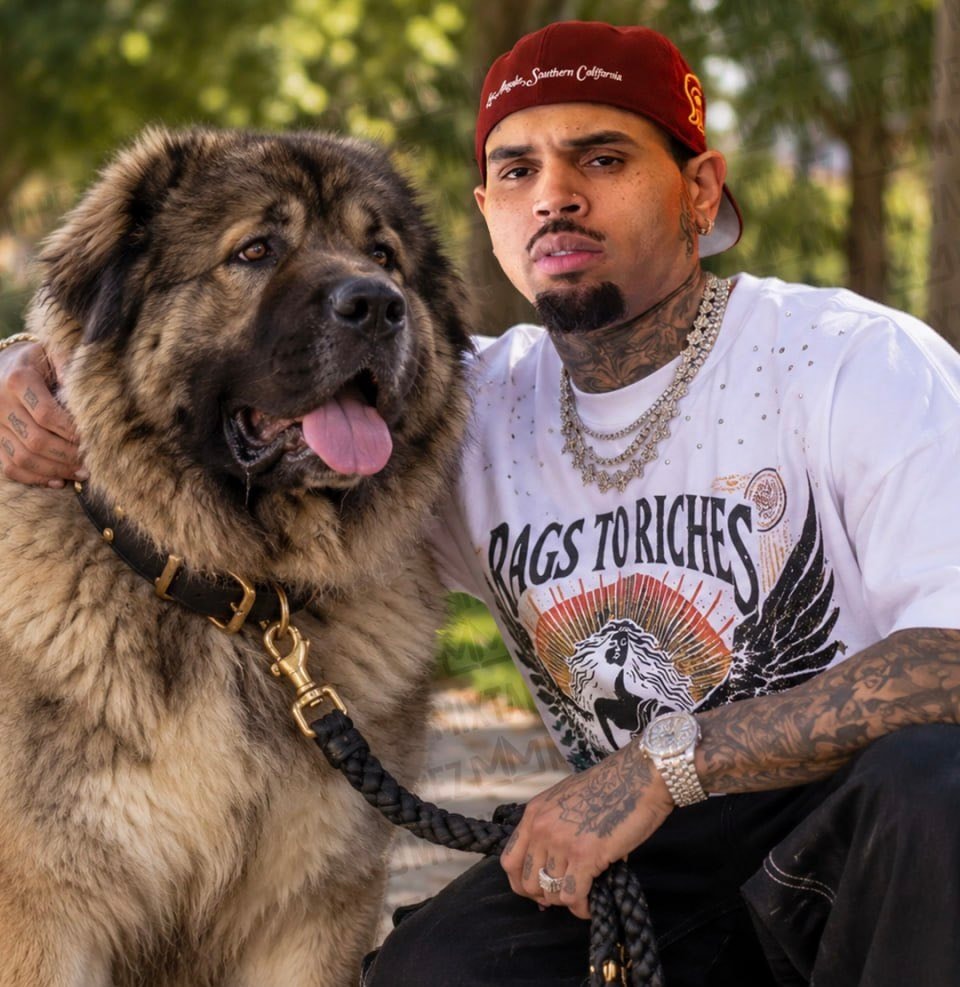 Chris Brown and his dog