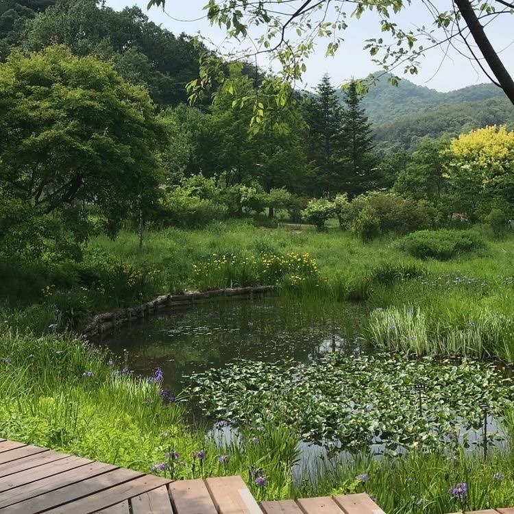 Serene stream in green landscape (photo 4 of 4)