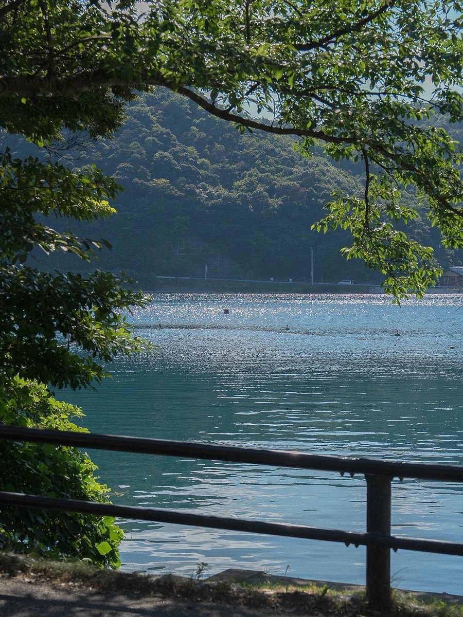 Kyoto Japan harbor (photo 4 of 4)