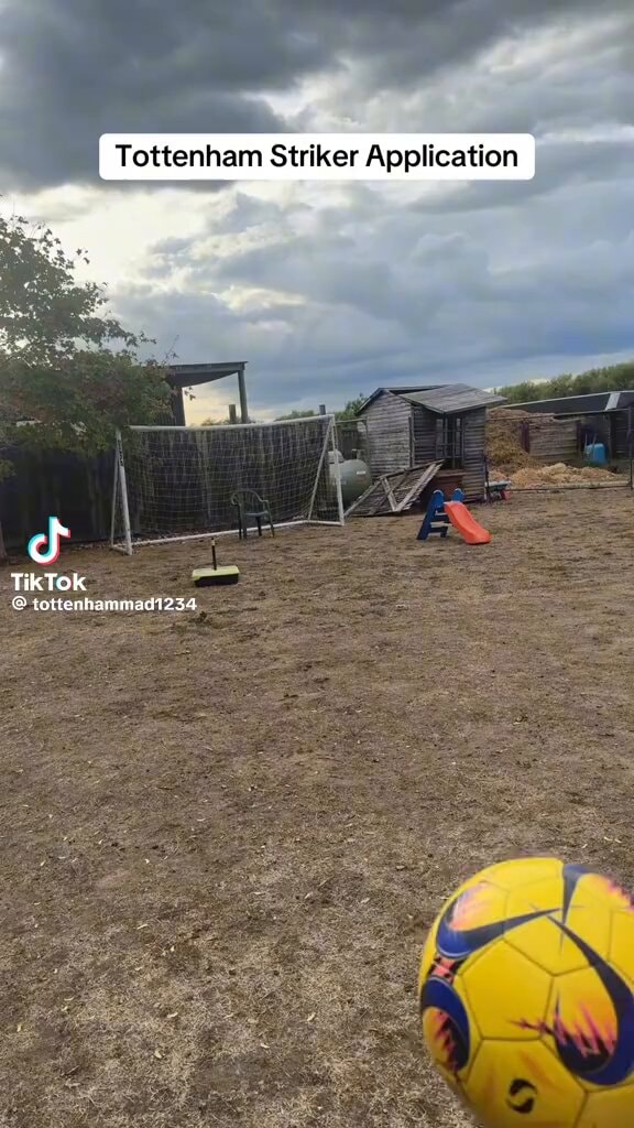 Berta Tottenham striker transfer