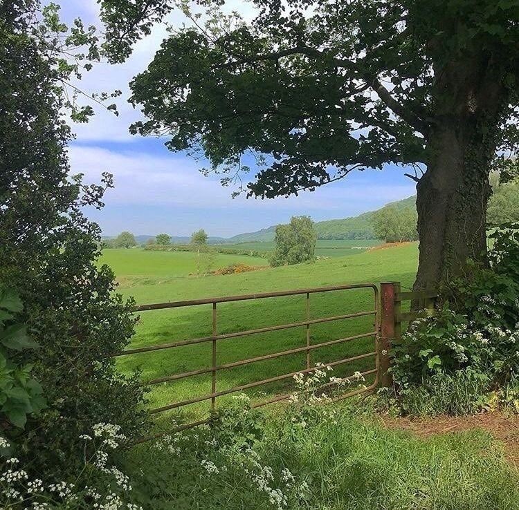 Serene stream in green landscape (photo 3 of 4)