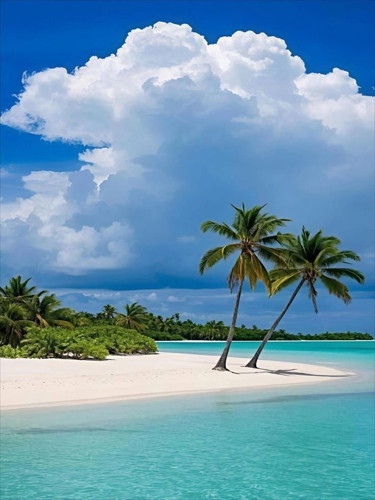 tropical beach scene (photo 2 of 2)