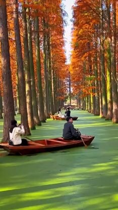 Luyang Lake Wetland Park