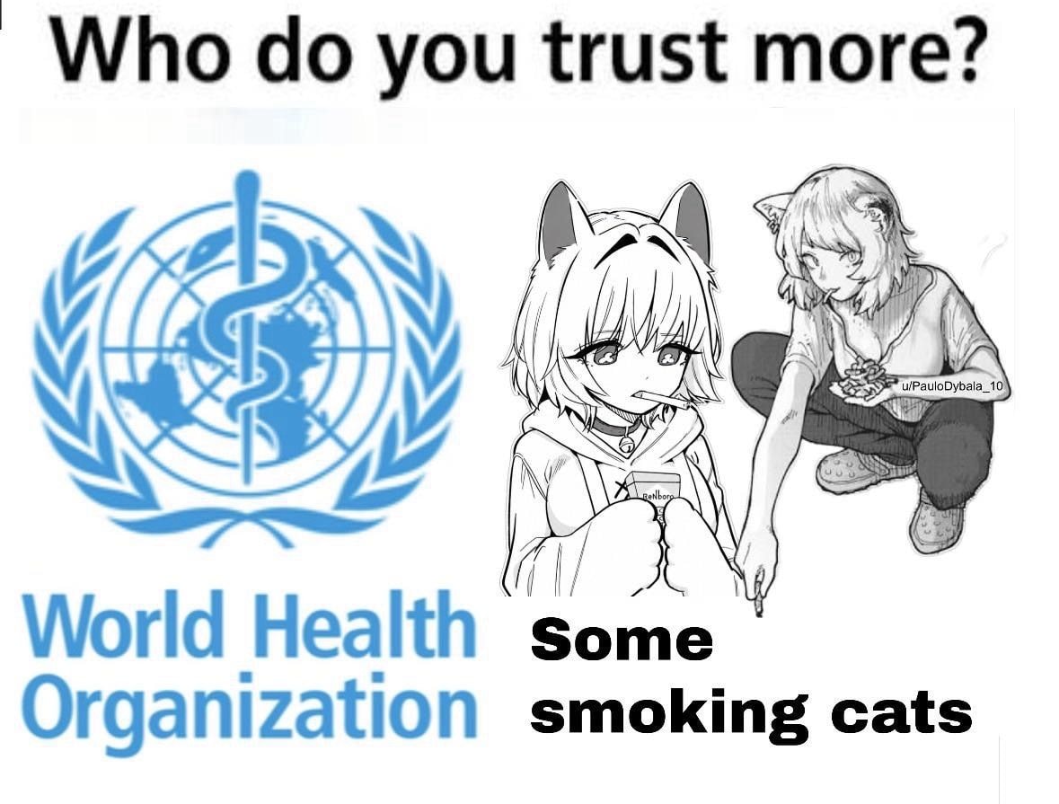 world health organization vs some smoking cats world health organization vs some smoking cats