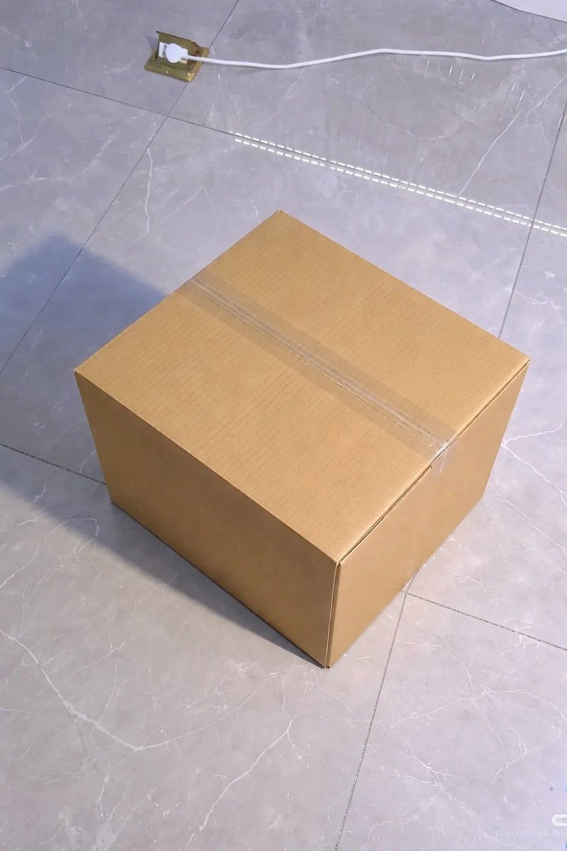 kitten in a box (photo 2 of 2)