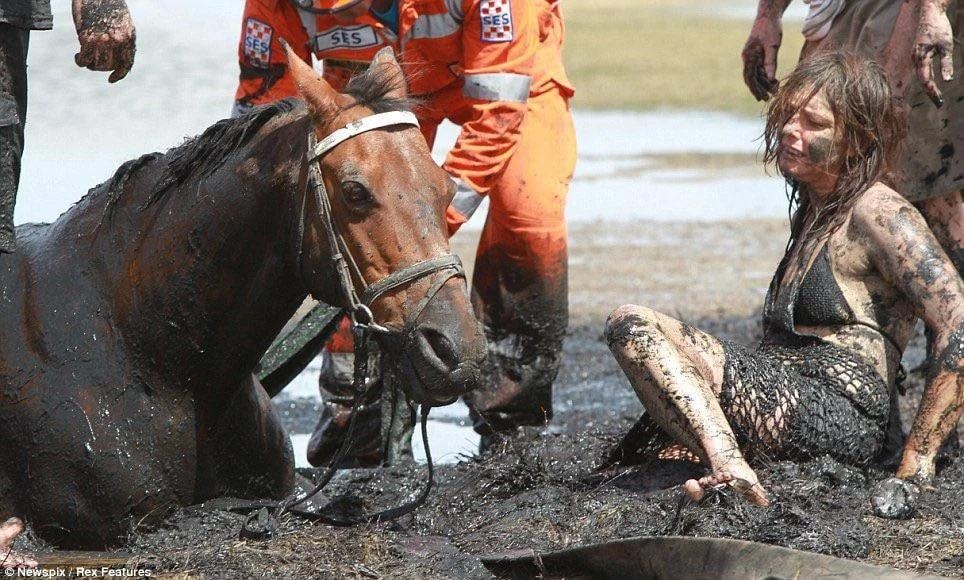 Nicole Graham saves horse Astro from mud (photo 4 of 4)