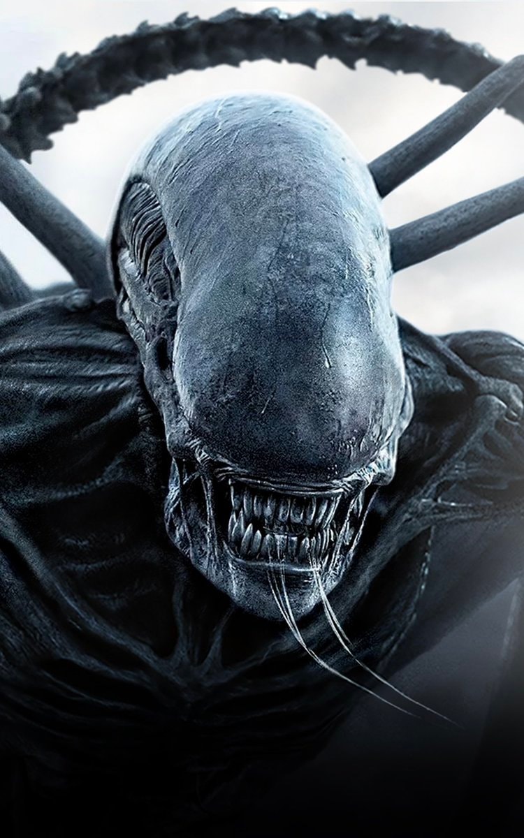 New ALIEN movie in development (photo 2 of 2) New ALIEN movie in development (photo 2 of 2)