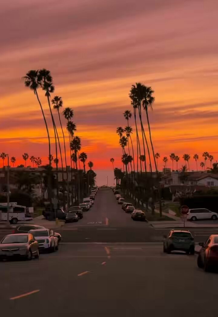 L.A. sunset street view