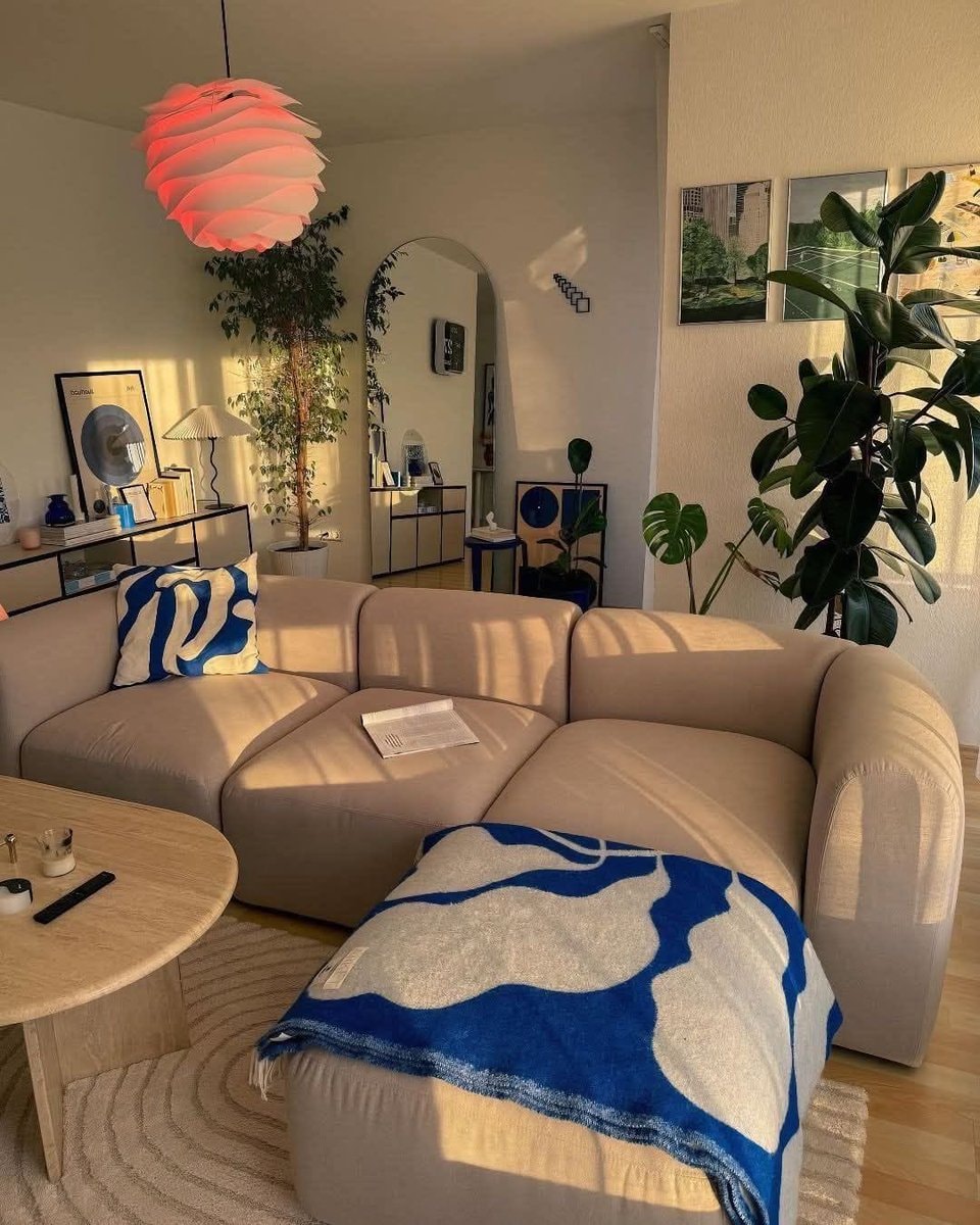 cozy living room couch