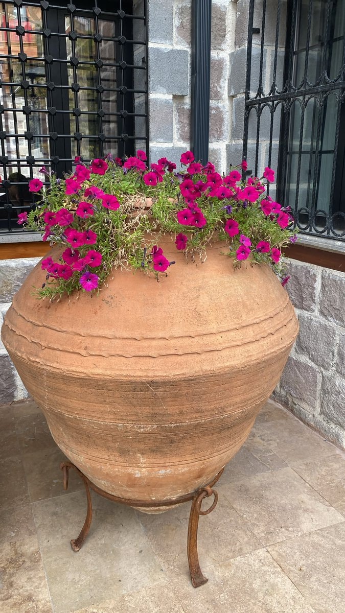 earthen jar with fuchsia petunias