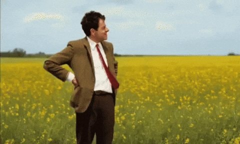 Mr Bean waiting for De Zerbi Ball