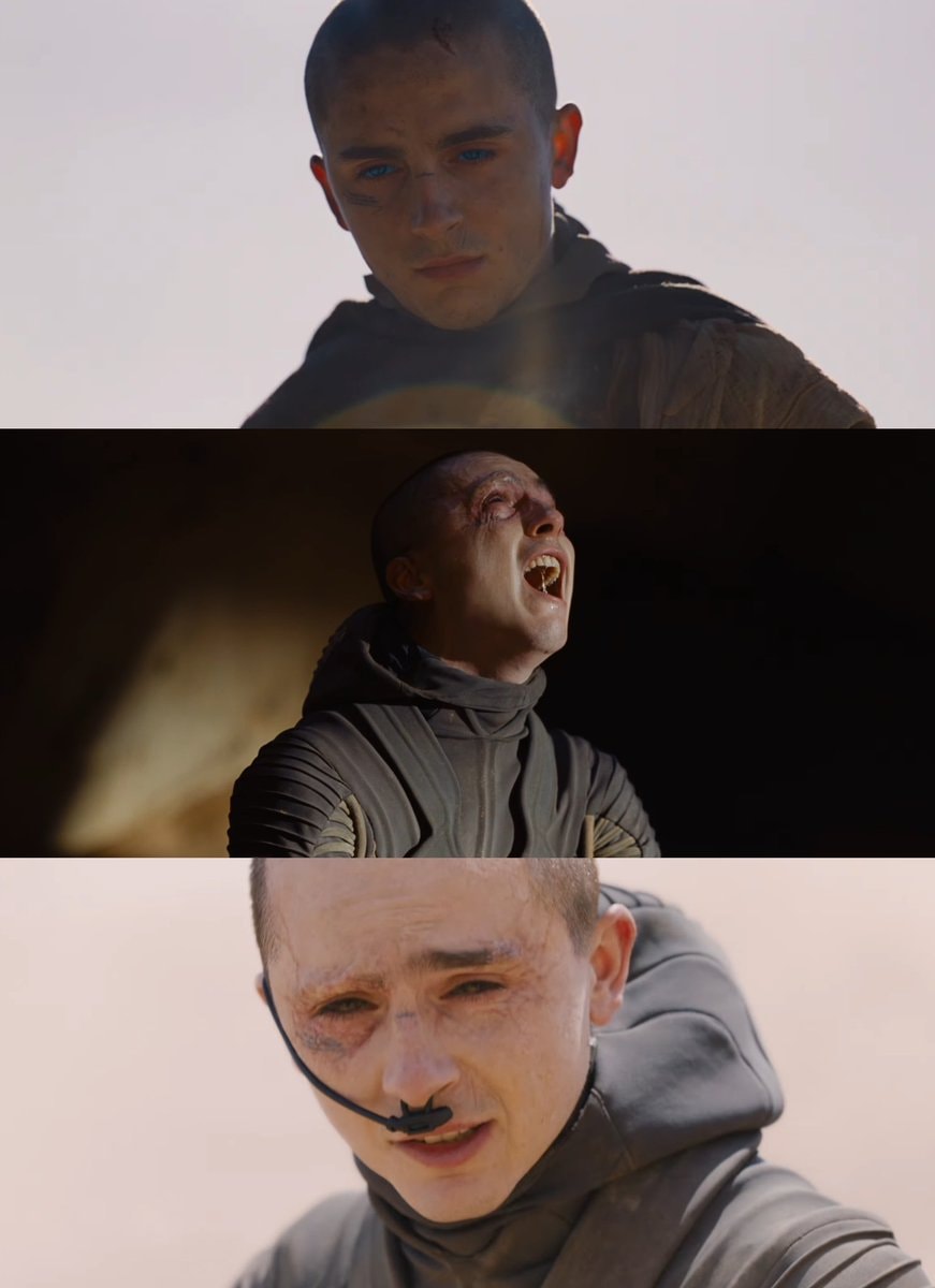 Timothée Chalamet DUNE: PART THREE