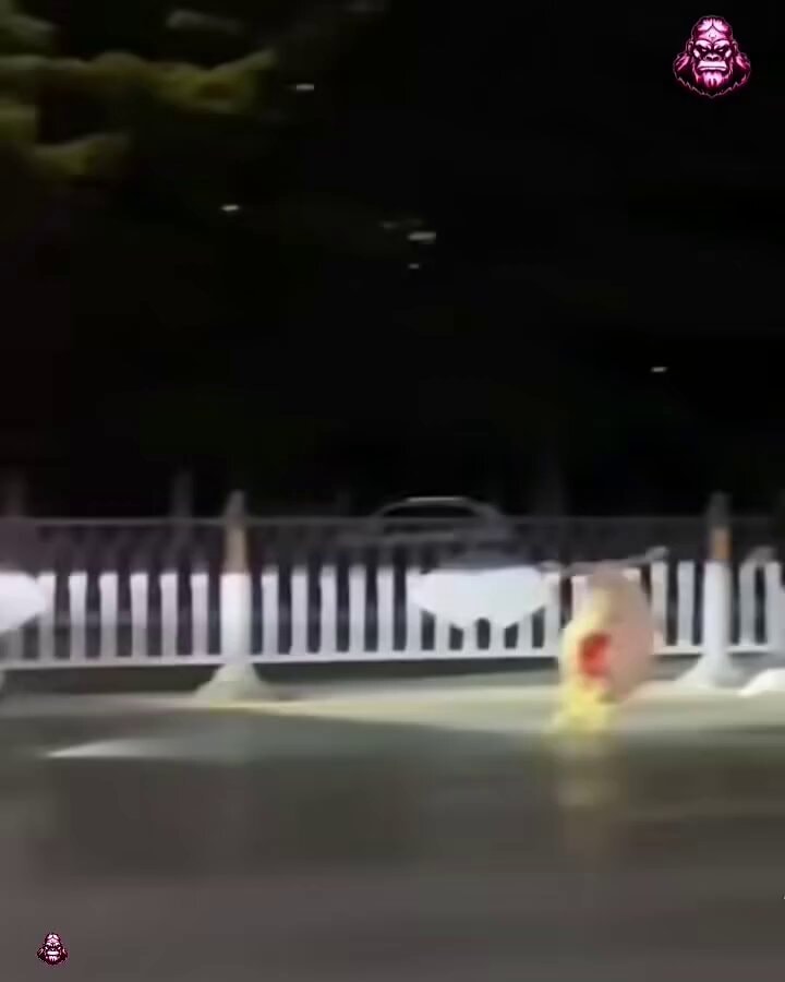 funny traffic cone clip