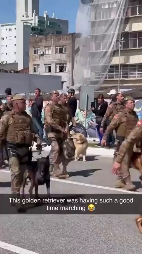 Good boy soldier