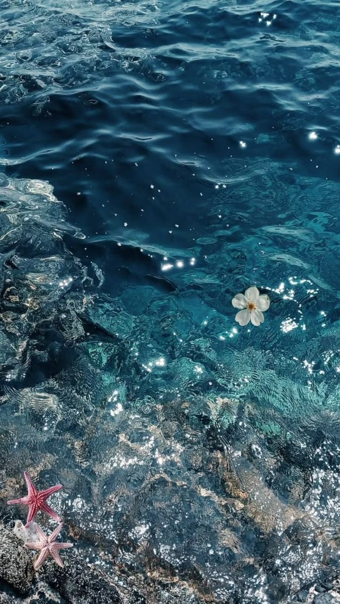 sea therapy (photo 4 of 4)