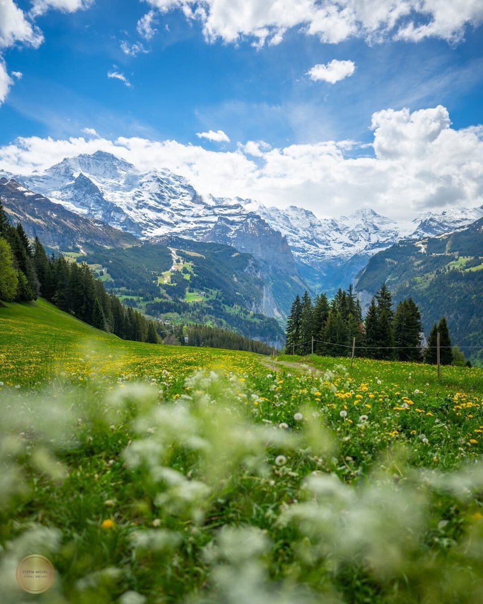Switzerland landscape (photo 3 of 4)
