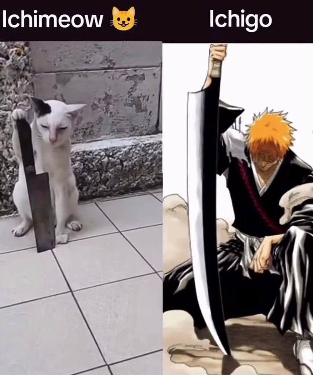 Ichimeow vs Ichigo split screen