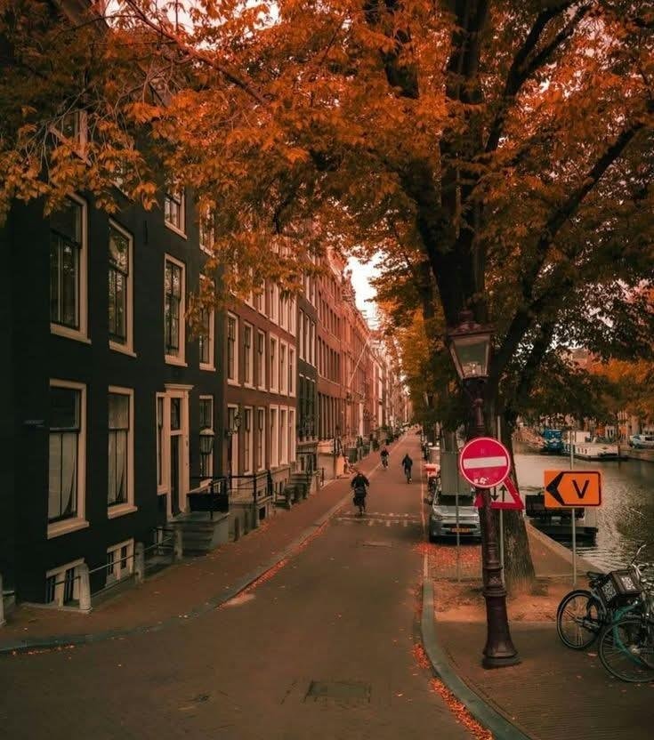 Autumn in Amsterdam Netherlands (photo 2 of 4)