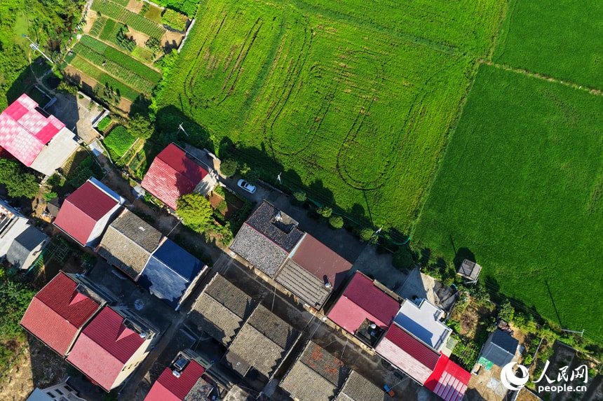 Guantian village red roofs Jiangxi (photo 4 of 4)