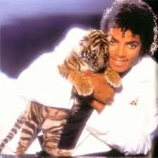 Michael Jackson Thriller tiger cub Little William (photo 2 of 2)