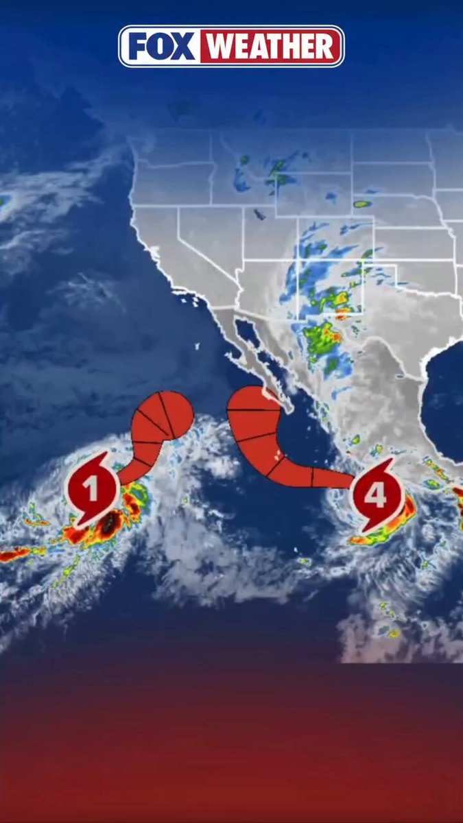 Hurricane Polo Odalys collision forecast Hurricane Polo Odalys collision forecast