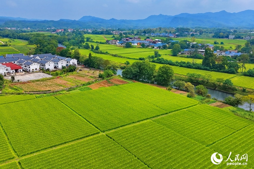 Gaoxuan Village Hakka homes (photo 4 of 4)