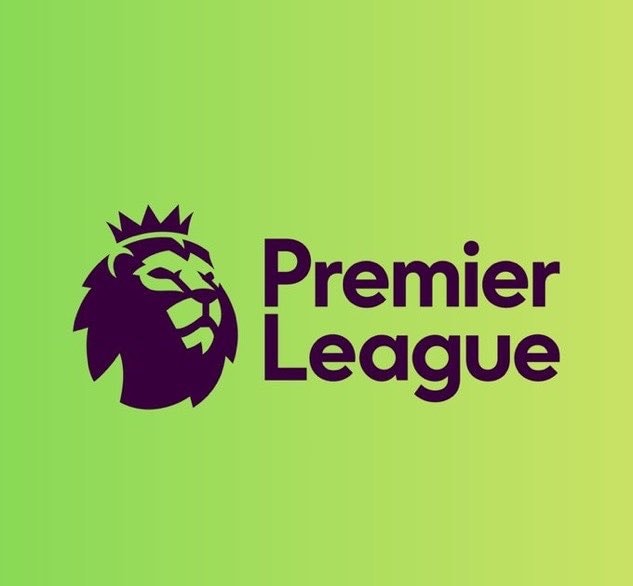 Southampton FC out of Premier League play-offs (photo 2 of 2)