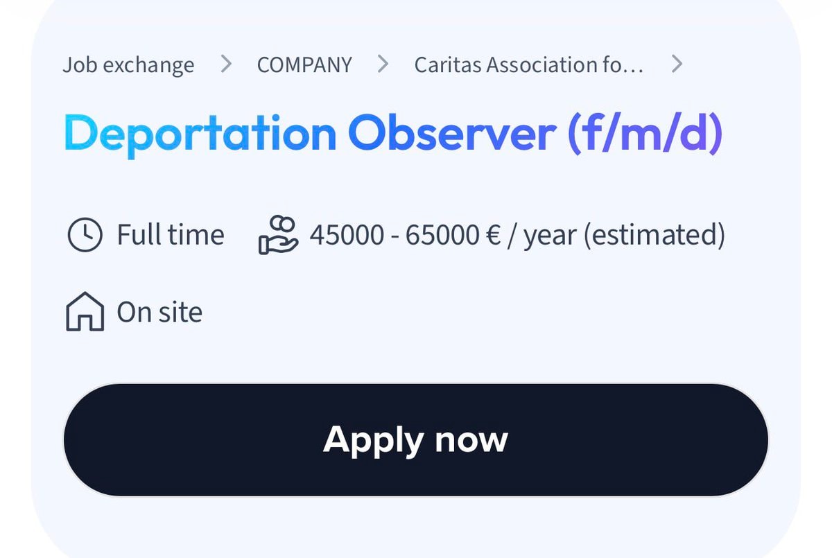 Deportation Observer job listing Frankfurt Airport