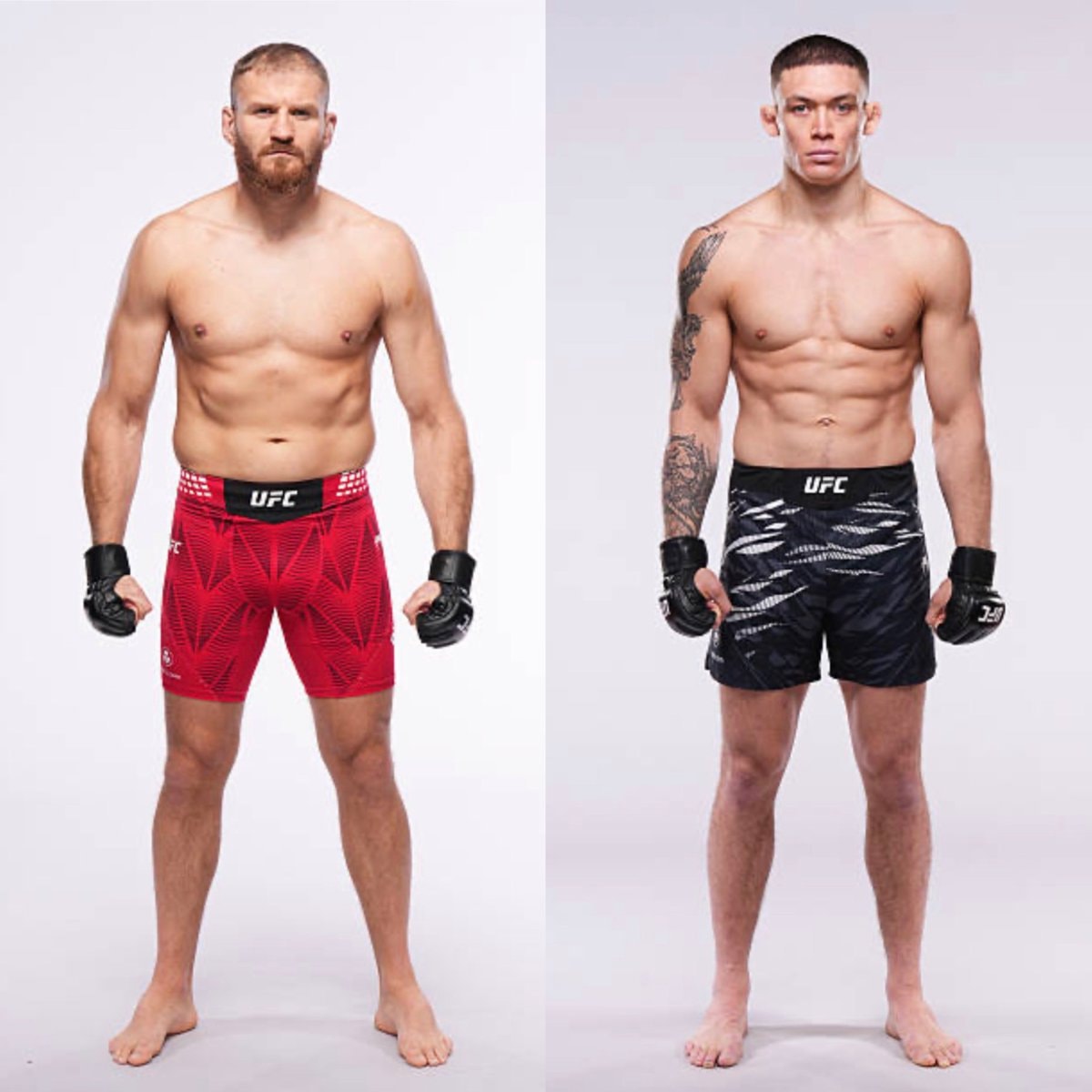 Jan Blachowicz Navajo Stirling UFC Belgrade