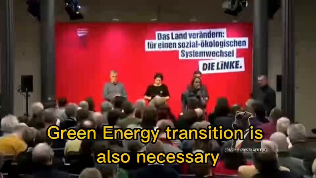 Die Linke Berlin election green energy transition