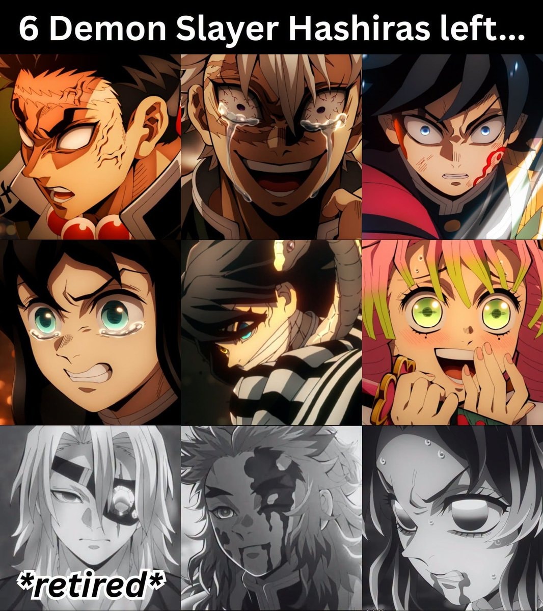 Six retired Demon Slayer Hashiras fan edit