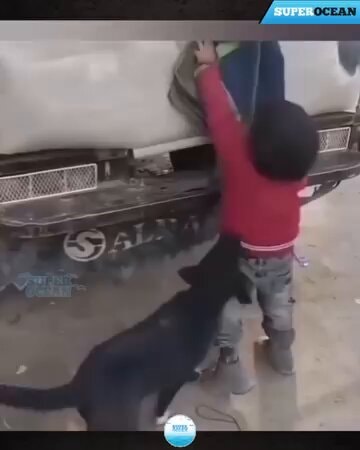 funniest moment caught on camera