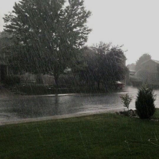 Rainy park atmosphere (photo 2 of 4)