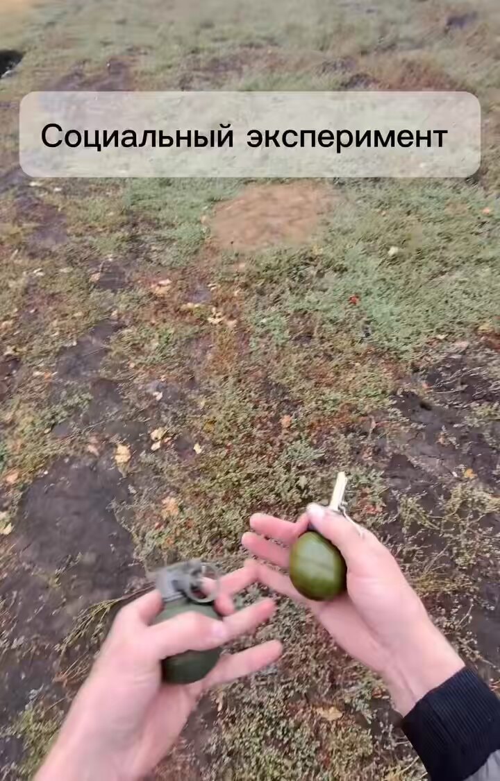 hands holding two grenades
