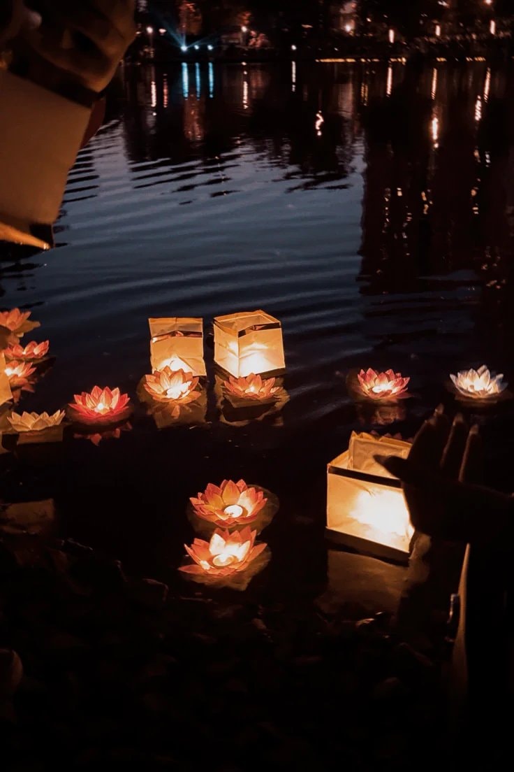 Sunflowers and butterfly lights (photo 3 of 4)